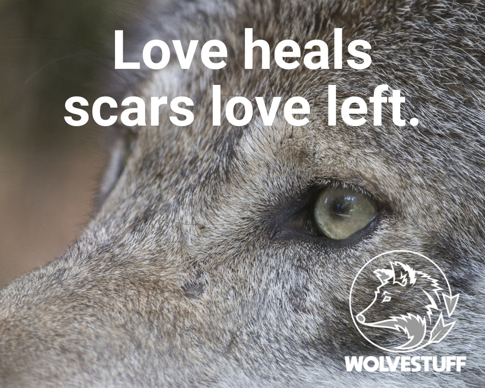 Wolvestuff quote of "love heals scars love left" in white writing with a grey wolf in the background with a Wolvestuff logo