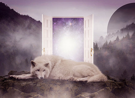 The Meaning of Wolves in Our Dreams
